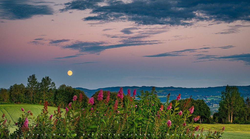 Moonrise