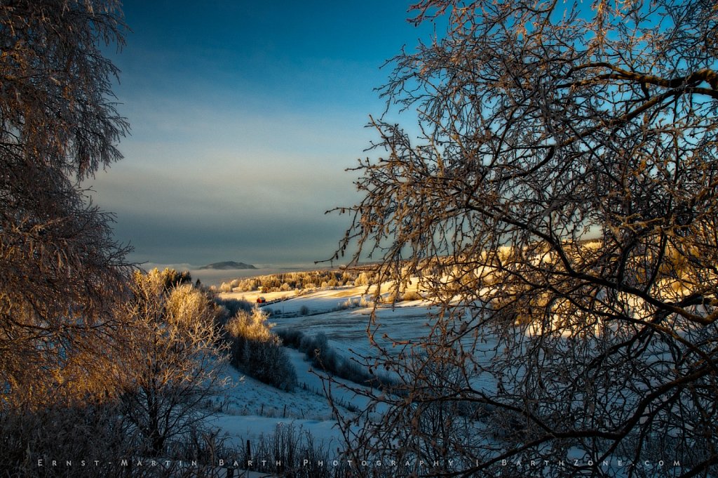 Winter light