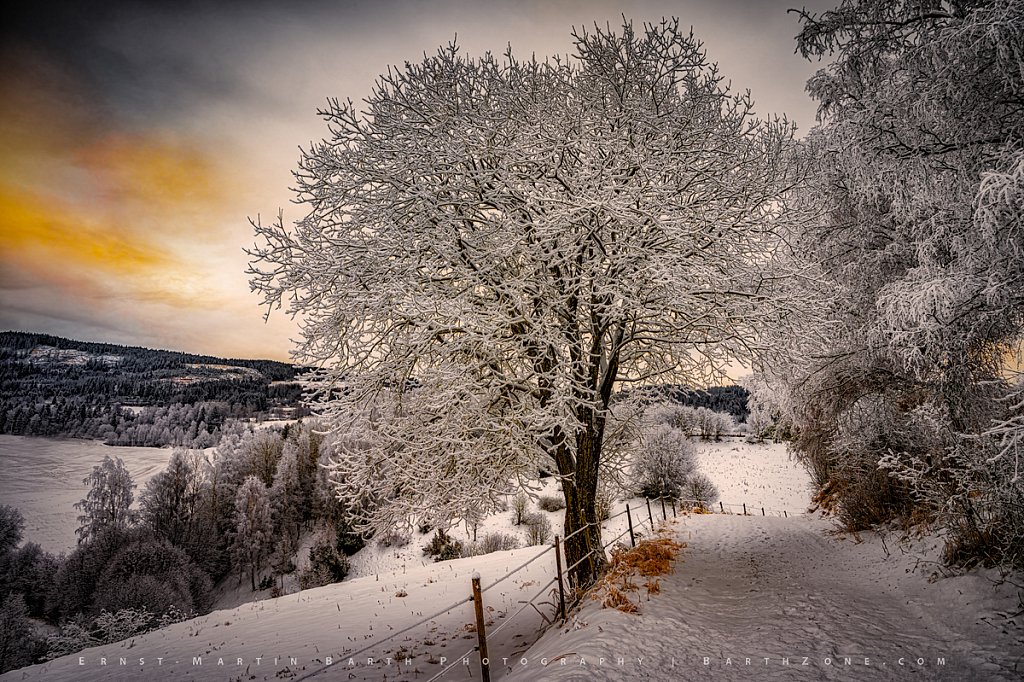 Hoar frost