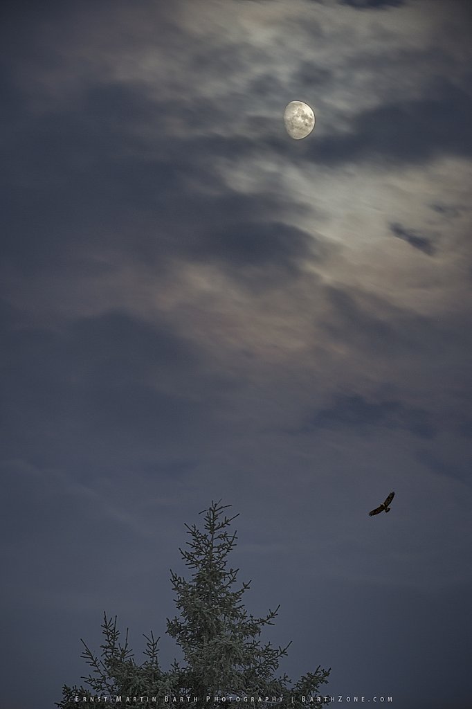 Mystic Moon
