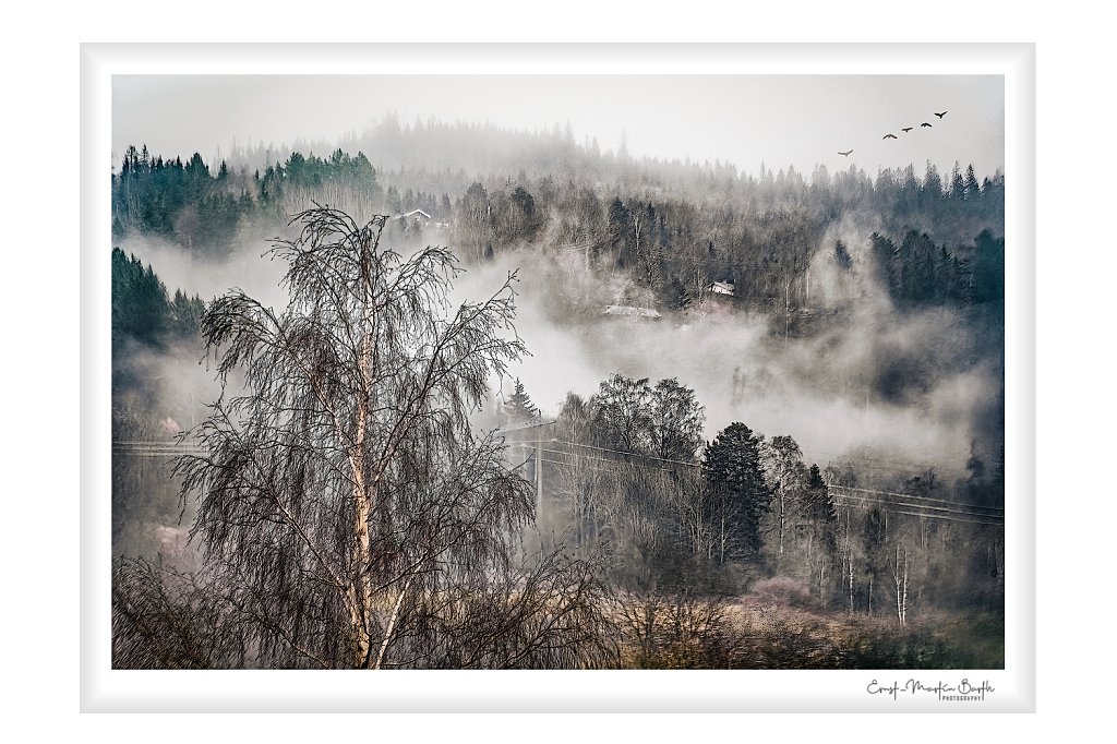 Misty morning