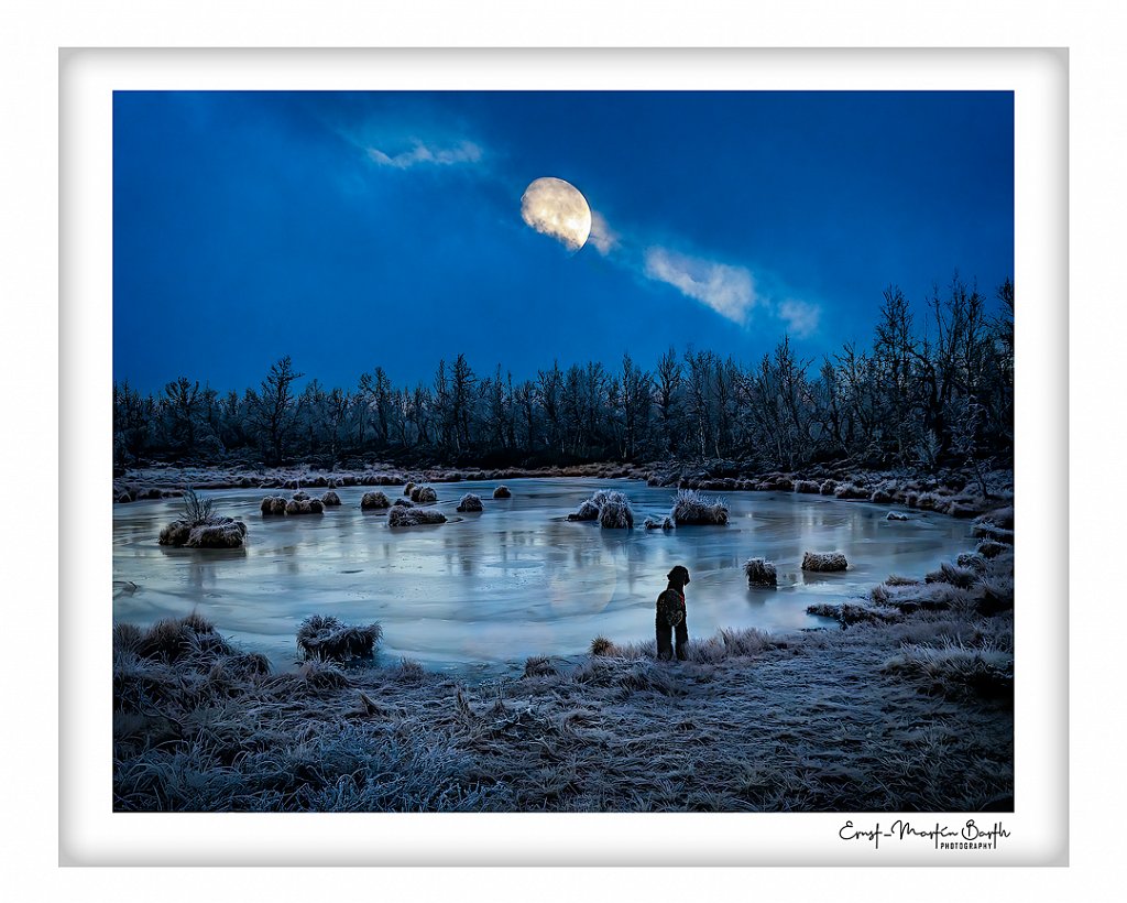Moondog